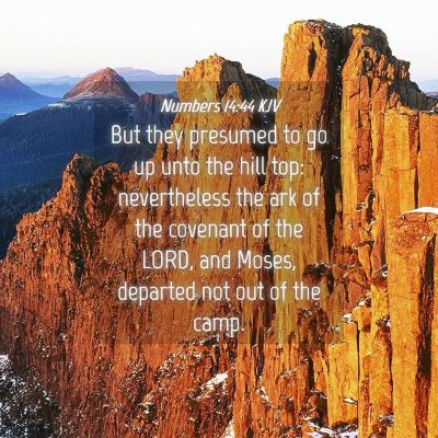 Picture 04 - Numbers 14:44 KJV - But they presumed to go up unto the hill top: - Bible Verse Picture