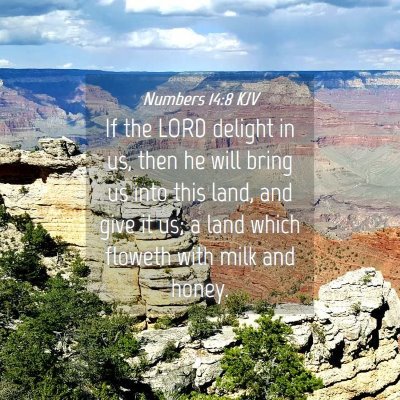 Picture 04 - Numbers 14:8 KJV - If the LORD delight in us, then he will bring us - Bible Verse Picture