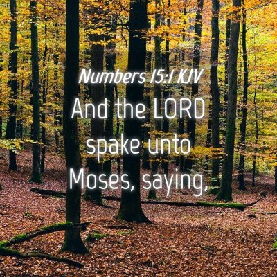 Picture 04 - Numbers 15:1 KJV - And the LORD spake unto Moses, - Bible Verse Picture