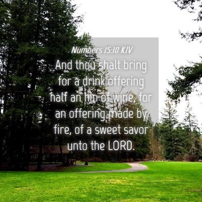 Picture 04 - Numbers 15:10 KJV - And thou shalt bring for a drink offering half an - Bible Verse Picture