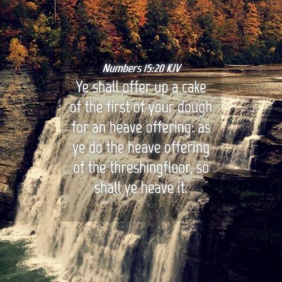 Picture 04 - Numbers 15:20 KJV - Ye shall offer up a cake of the first of your - Bible Verse Picture