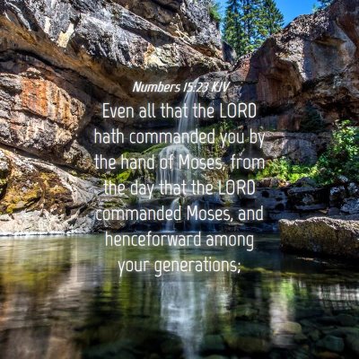 Picture 04 - Numbers 15:23 KJV - Even all that the LORD hath commanded you by the - Bible Verse Picture