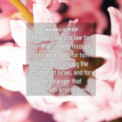 Picture 04 - Numbers 15:29 KJV - Ye shall have one law for him that sinneth - Bible Verse Picture
