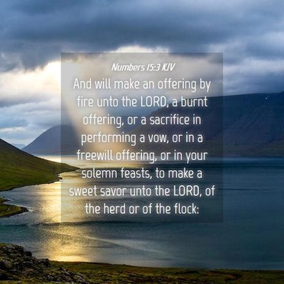 Picture 04 - Numbers 15:3 KJV - And will make an offering by fire unto the LORD, - Bible Verse Picture