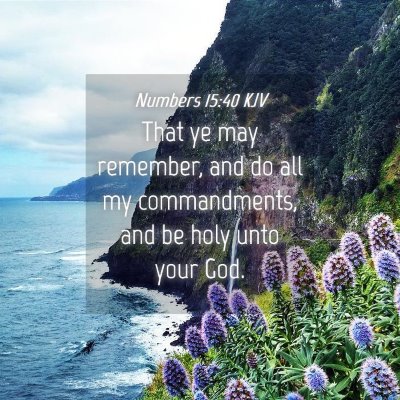 Picture 04 - Numbers 15:40 KJV - That ye may remember, and do all my commandments, - Bible Verse Picture