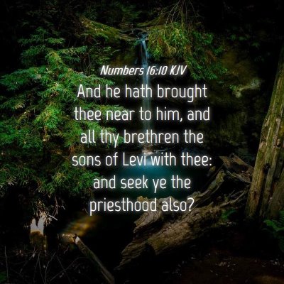 Picture 04 - Numbers 16:10 KJV - And he hath brought thee near to him, and all thy - Bible Verse Picture