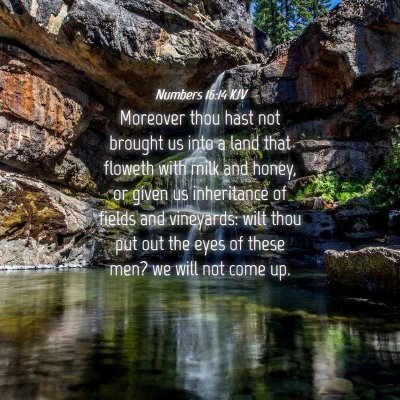 Picture 04 - Numbers 16:14 KJV - Moreover thou hast not brought us into a land - Bible Verse Picture