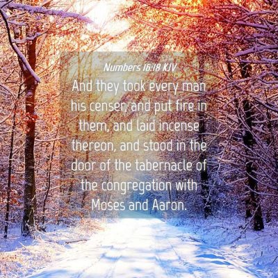 Picture 04 - Numbers 16:18 KJV - And they took every man his censer, and put fire - Bible Verse Picture