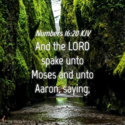 Picture 04 - Numbers 16:20 KJV - And the LORD spake unto Moses and unto Aaron, - Bible Verse Picture