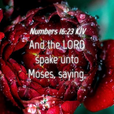 Picture 04 - Numbers 16:23 KJV - And the LORD spake unto Moses, - Bible Verse Picture