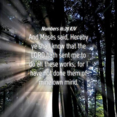 Picture 04 - Numbers 16:28 KJV - And Moses said, Hereby ye shall know that the - Bible Verse Picture