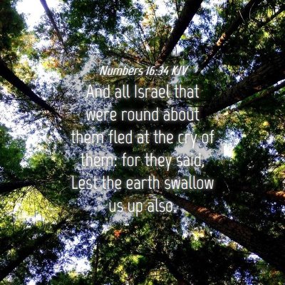 Picture 04 - Numbers 16:34 KJV - And all Israel that were round about them fled at - Bible Verse Picture