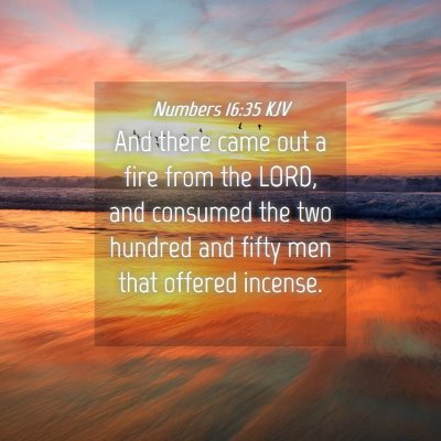 Picture 04 - Numbers 16:35 KJV - And there came out a fire from the LORD, and - Bible Verse Picture
