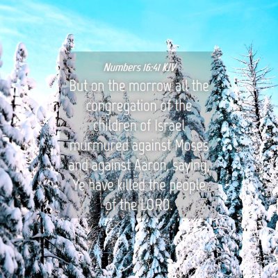 Picture 04 - Numbers 16:41 KJV - But on the morrow all the congregation of the - Bible Verse Picture