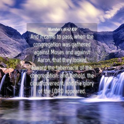 Picture 04 - Numbers 16:42 KJV - And it came to pass, when the congregation was - Bible Verse Picture