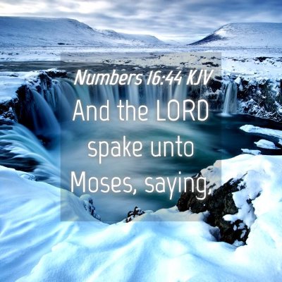 Picture 04 - Numbers 16:44 KJV - And the LORD spake unto Moses, - Bible Verse Picture