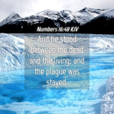 Picture 04 - Numbers 16:48 KJV - And he stood between the dead and the living; and - Bible Verse Picture