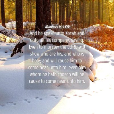 Picture 04 - Numbers 16:5 KJV - And he spake unto Korah and unto all his company, - Bible Verse Picture