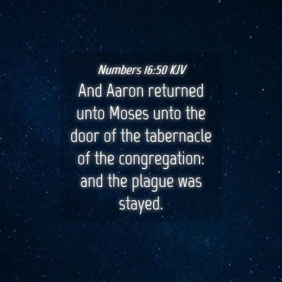Picture 04 - Numbers 16:50 KJV - And Aaron returned unto Moses unto the door of - Bible Verse Picture