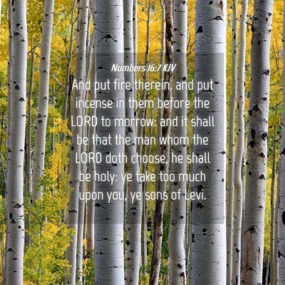 Picture 04 - Numbers 16:7 KJV - And put fire therein, and put incense in them - Bible Verse Picture