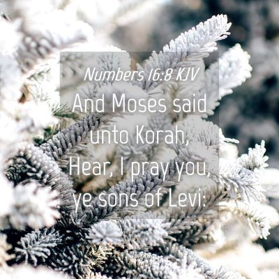 Picture 04 - Numbers 16:8 KJV - And Moses said unto Korah, Hear, I pray you, ye - Bible Verse Picture