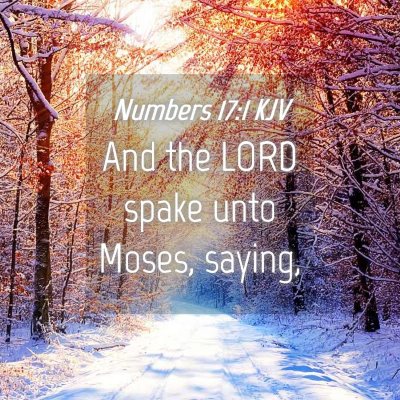 Picture 04 - Numbers 17:1 KJV - And the LORD spake unto Moses, - Bible Verse Picture
