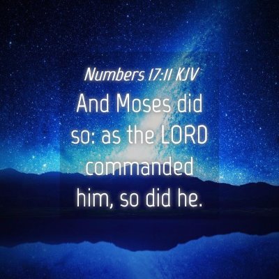 Picture 04 - Numbers 17:11 KJV - And Moses did so: as the LORD commanded him, so - Bible Verse Picture