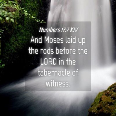 Picture 04 - Numbers 17:7 KJV - And Moses laid up the rods before the LORD in the - Bible Verse Picture