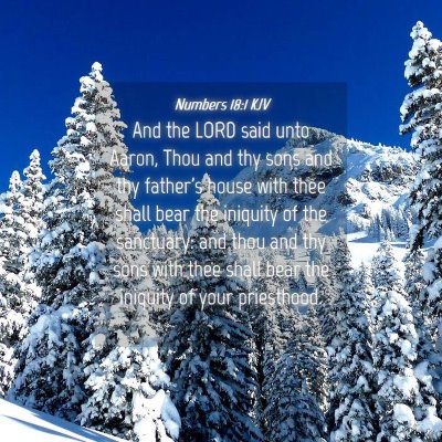Picture 04 - Numbers 18:1 KJV - And the LORD said unto Aaron, Thou and thy sons - Bible Verse Picture