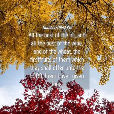 Picture 04 - Numbers 18:12 KJV - All the best of the oil, and all the best of the - Bible Verse Picture