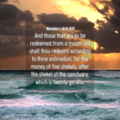 Picture 04 - Numbers 18:16 KJV - And those that are to be redeemed from a month - Bible Verse Picture