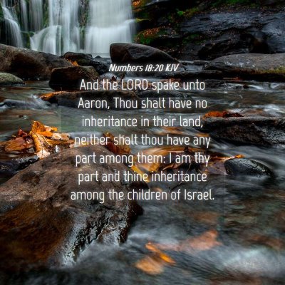 Picture 04 - Numbers 18:20 KJV - And the LORD spake unto Aaron, Thou shalt have no - Bible Verse Picture