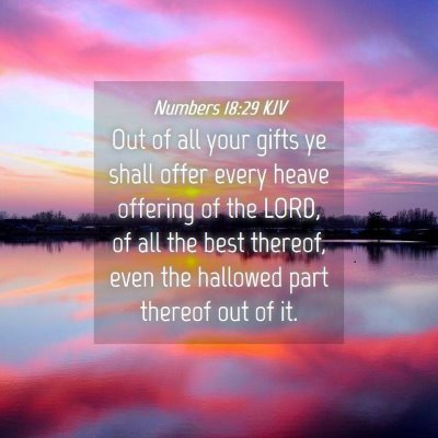 Picture 04 - Numbers 18:29 KJV - Out of all your gifts ye shall offer every heave - Bible Verse Picture