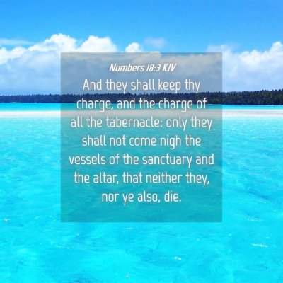 Picture 04 - Numbers 18:3 KJV - And they shall keep thy charge, and the charge of - Bible Verse Picture