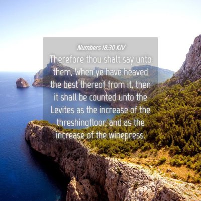 Picture 04 - Numbers 18:30 KJV - Therefore thou shalt say unto them, When ye have - Bible Verse Picture