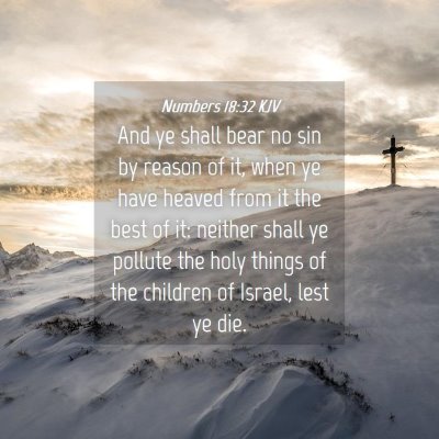 Picture 04 - Numbers 18:32 KJV - And ye shall bear no sin by reason of it, when ye - Bible Verse Picture