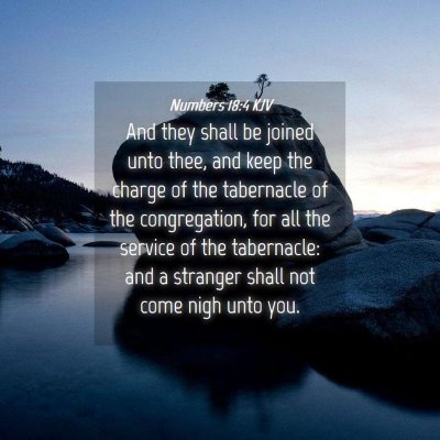 Picture 04 - Numbers 18:4 KJV - And they shall be joined unto thee, and keep the - Bible Verse Picture