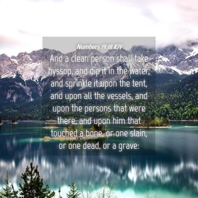 Picture 04 - Numbers 19:18 KJV - And a clean person shall take hyssop, and dip it - Bible Verse Picture