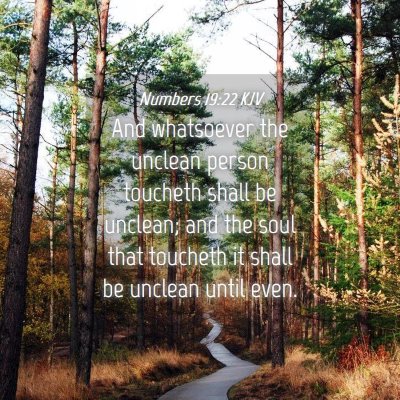Picture 04 - Numbers 19:22 KJV - And whatsoever the unclean person toucheth shall - Bible Verse Picture