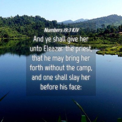 Picture 04 - Numbers 19:3 KJV - And ye shall give her unto Eleazar the priest, - Bible Verse Picture