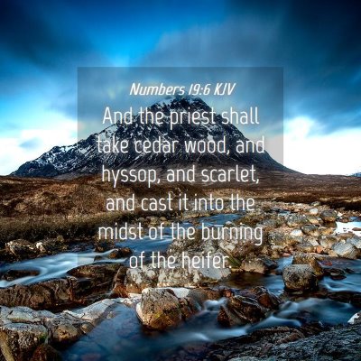 Picture 04 - Numbers 19:6 KJV - And the priest shall take cedar wood, and hyssop, - Bible Verse Picture
