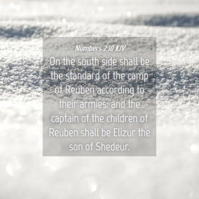 Picture 04 - Numbers 2:10 KJV - On the south side shall be the standard of the - Bible Verse Picture
