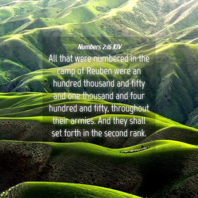 Picture 04 - Numbers 2:16 KJV - All that were numbered in the camp of Reuben were - Bible Verse Picture