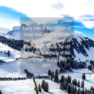 Picture 04 - Numbers 2:2 KJV - Every man of the children of Israel shall pitch - Bible Verse Picture