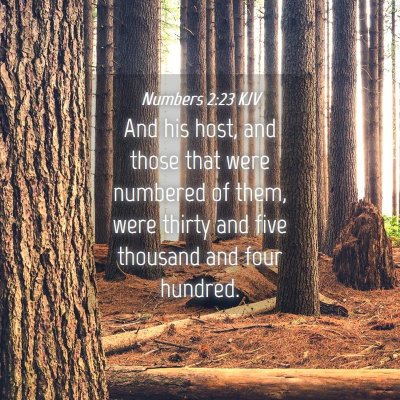Picture 04 - Numbers 2:23 KJV - And his host, and those that were numbered of - Bible Verse Picture