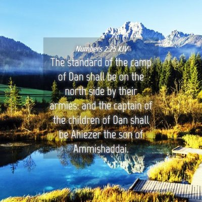 Picture 04 - Numbers 2:25 KJV - The standard of the camp of Dan shall be on the - Bible Verse Picture