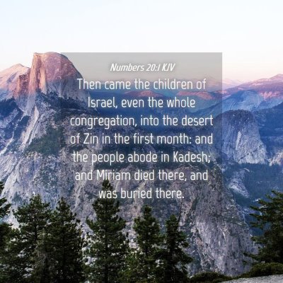 Picture 04 - Numbers 20:1 KJV - Then came the children of Israel, even the whole - Bible Verse Picture