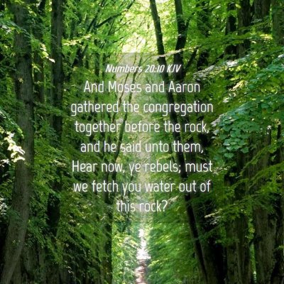 Picture 04 - Numbers 20:10 KJV - And Moses and Aaron gathered the congregation - Bible Verse Picture