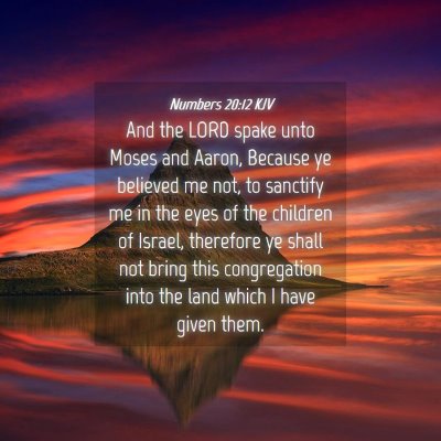 Picture 04 - Numbers 20:12 KJV - And the LORD spake unto Moses and Aaron, Because - Bible Verse Picture