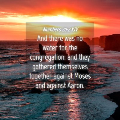 Picture 04 - Numbers 20:2 KJV - And there was no water for the congregation: and - Bible Verse Picture